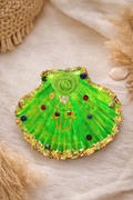 Coquillage Vert